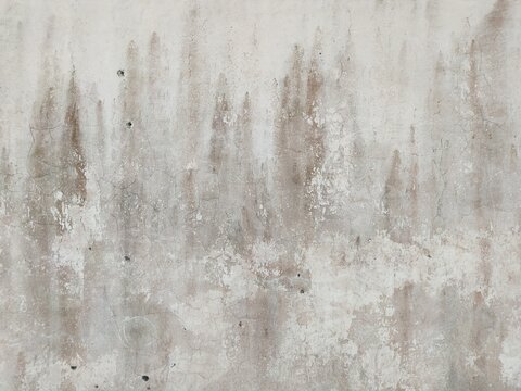 abstract texture of a moldy wall © Ricky Kurniawan