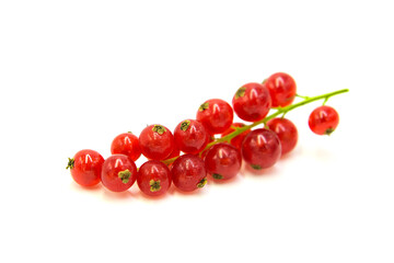 Fresh organic ripe red currant in dew drops isolated on white background.