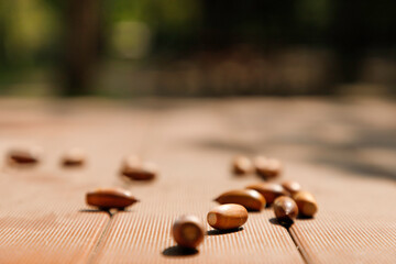 公園のテーブルの上に置かれたドングリの実