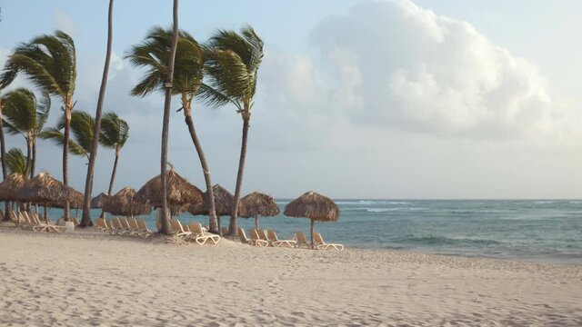 Straw umbrellas and coconut palm trees on a sandy beach. Holidays at the hotel on the tropical island