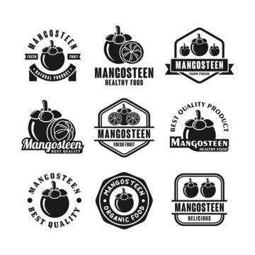 Mangosteen badge design logo collection