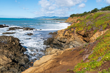 Fototapeta premium Southern sea otters enjoying life on the Central California Coast