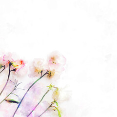 Beautiful abstract watercolor flowers and leaves illustration