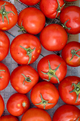 Lots of red ripe tomatoes of different sizes.Harvest of ripe tomatoes.An environmentally friendly product.Vegetables grown in the village.Not perfect tomatoes with disadvantages