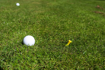 Golf ball on a green grass background