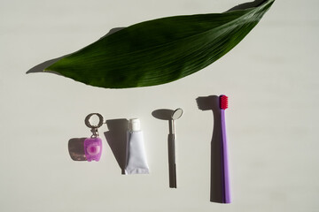 Oral hygiene products and a green leaf on a white table. Toothbrush dental floss dental mirror and...