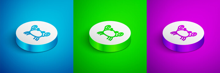 Isometric line Crab icon isolated on blue, green and purple background. White circle button. Vector