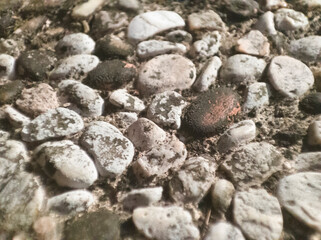 Rock Outcrop on a cement road
