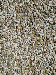 Rock Outcrop on a cement road