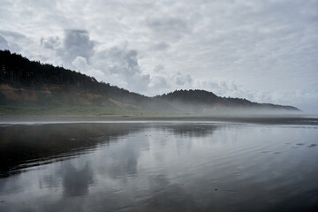 Misty Morning