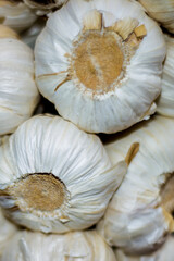 A very close shot to the white garlic
