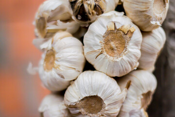 A close up to the white garlic

