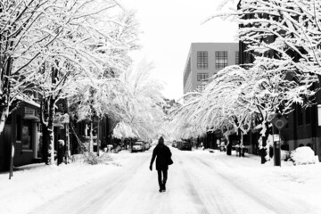 A walk in downtown Portland, Oregon after a snowstorm.