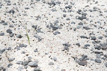 white dark pebbles and little green grasses on left in day time