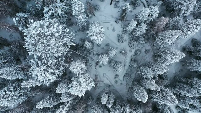 Aerial over snow frosted, winter landscapes.
