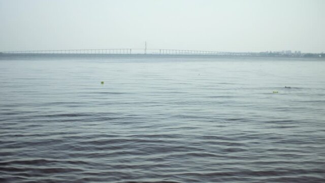 Amazon River with Rio Negro Bridge and boto (dolphin)