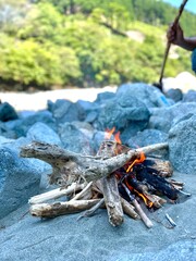 barbecue in the garden