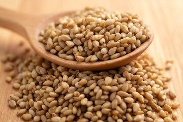 白ゴマ（テーブル）