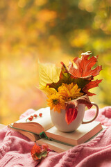 Autumn background. A bouquet of autumn leaves and flowers in a cup on an open book on a bright blurred background. Season of learning and knowledge.