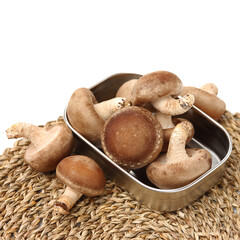 Shiitake mushroom on the White background 