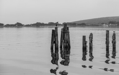 Dramatic black and white image of piers on the ocean with birds on top and calm reflecting waters...