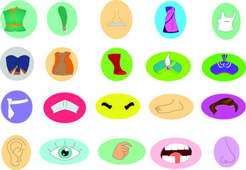 Body Parts icon Vector artwork, Set of eye, nose, lip, mouth, turban, feet, hair, hand, upper body, shoes, cap, Etc.