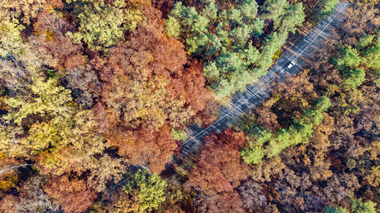 Aerial drone view of autumn landscape and road from above, yellow, green and red golden autumn trees and country road for cars
