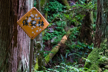 保安林の看板