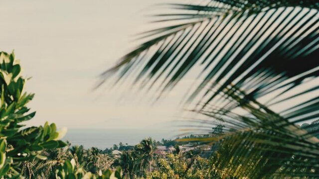 Panorama of valley with tropical trees, rooftops and sea on a summer day. Leaves sway in the wind.