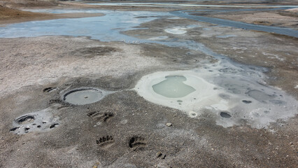 There are streams and puddles in the caldera of an extinct volcano. Sulfur deposits in the soil. There are traces of bear paws on the sand. Kamchatka Uzon