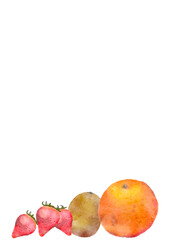 水彩風くだものイラスト、フルーツの切り口セット