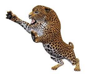 3D Leopard attacking