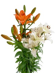 Fototapeta na wymiar bunch of white and orange lilies isolated close up