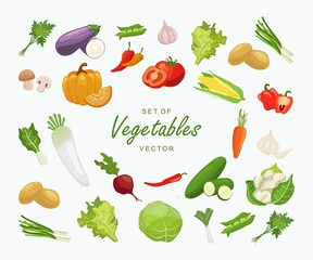 Set of vegetable ilustration vector