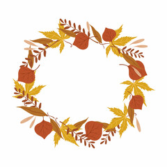 Autumn leaves. Card with hand drawn leaves on white background.