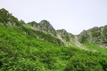 Fototapeta na wymiar 木曽駒ヶ岳