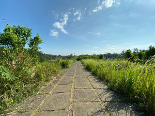 Fototapeta na wymiar Beautiful Walking in Campuhan Ridge Walk, Bali