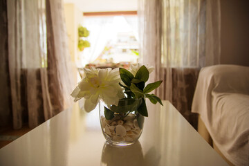 Decoration Of An Apartment. Interior Of A House Overlooking The Garden. - obrazy, fototapety, plakaty