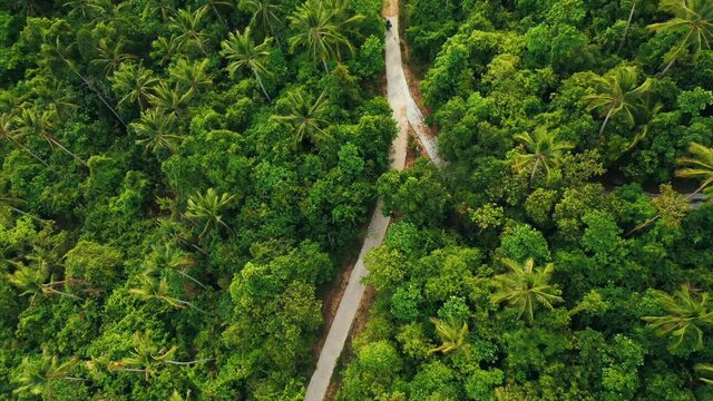 Drone over the lush jungle tracks a motorcyclist.