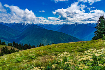 The view from Hurricane Ridge in Olympic National Park in Washington