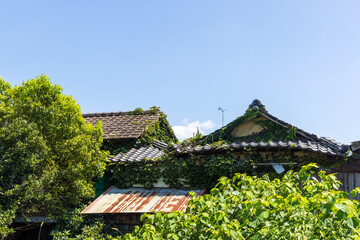 Fototapeta premium とても美しい日本の古い建物