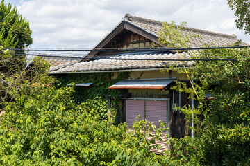 Fototapeta na wymiar とても美しい日本の古い建物