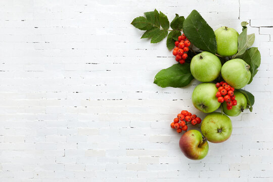 Autumn Yellow, Orange And Red Vegetables And Fruits On White Brick Wall Background, Top View, Flat Lay. Autumn Background.