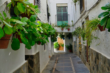 Fototapeta na wymiar Walking through the narrow streets full of green pots and flowers in the Granada town of Güejar-Sierra (Spain)