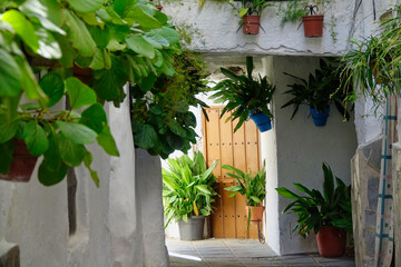 Walking through the narrow streets full of green pots and flowers in the Granada town of Güejar-Sierra (Spain)