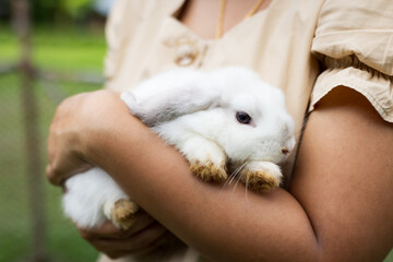 Asian woman holding and carrying cute rabbit with tenderness and love. Friendship with cute easter bunny. Happy rabbit with owner.