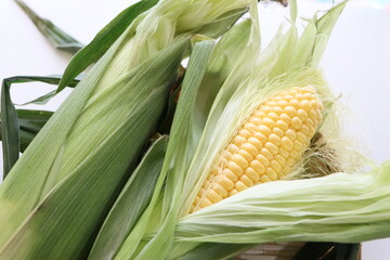 皮をむきかけのトウモロコシ