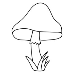 mushroom outline design illustration for web, wedsite, application, presentation, Graphics design, branding, etc.