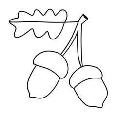 forest acorn outline design illustration for web, wedsite, application, presentation, Graphics design, branding, etc.