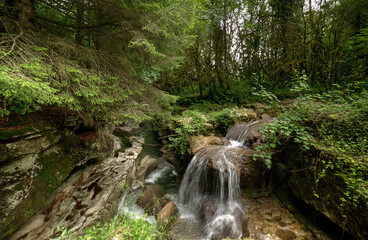 Petite cascade dans les gorges de Thurignin à Belmont-Luthézieu, Ain, France